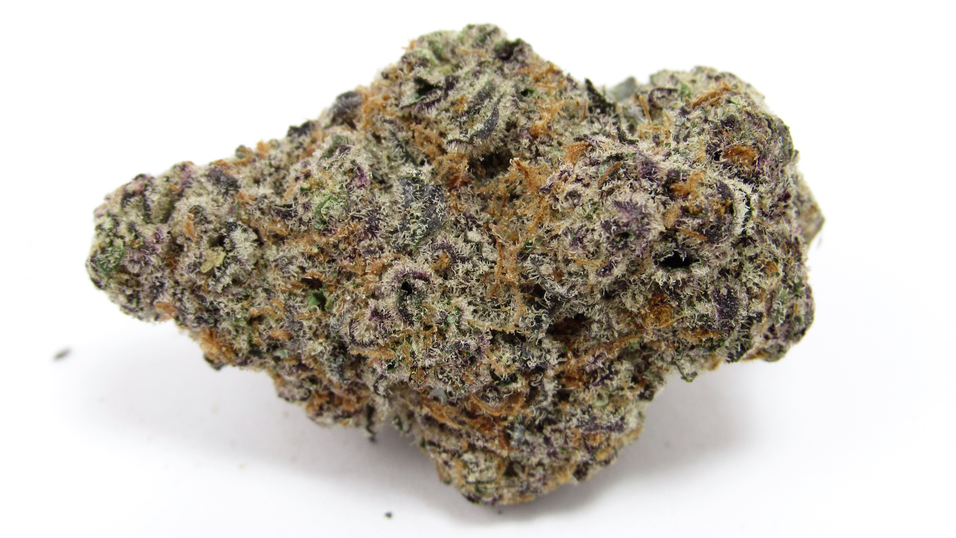 Berry Blizzard - Glitter Bomb | 3.5G Flower