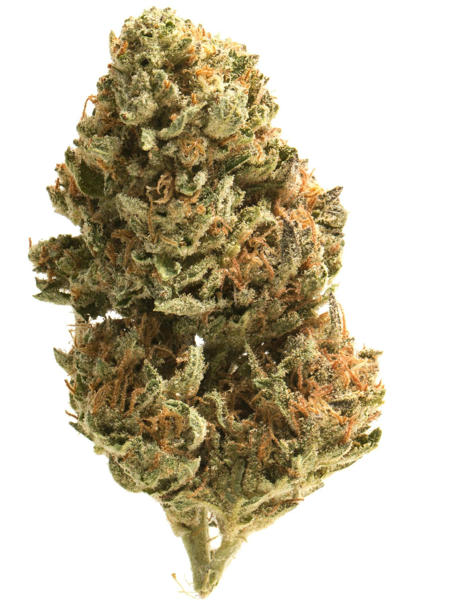 Garlic Juice | Bulk A Buds