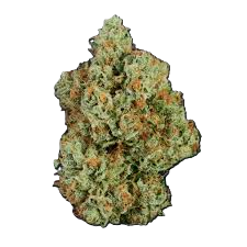 Funky Brunch | 3.5G Flower