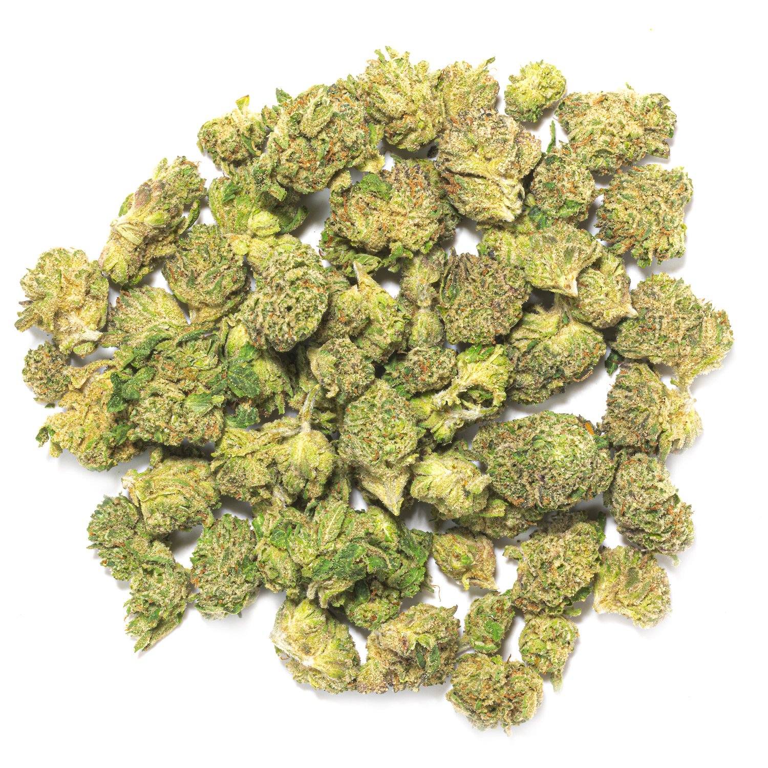 Lemon Cherry Gelato | Bulk Small Buds