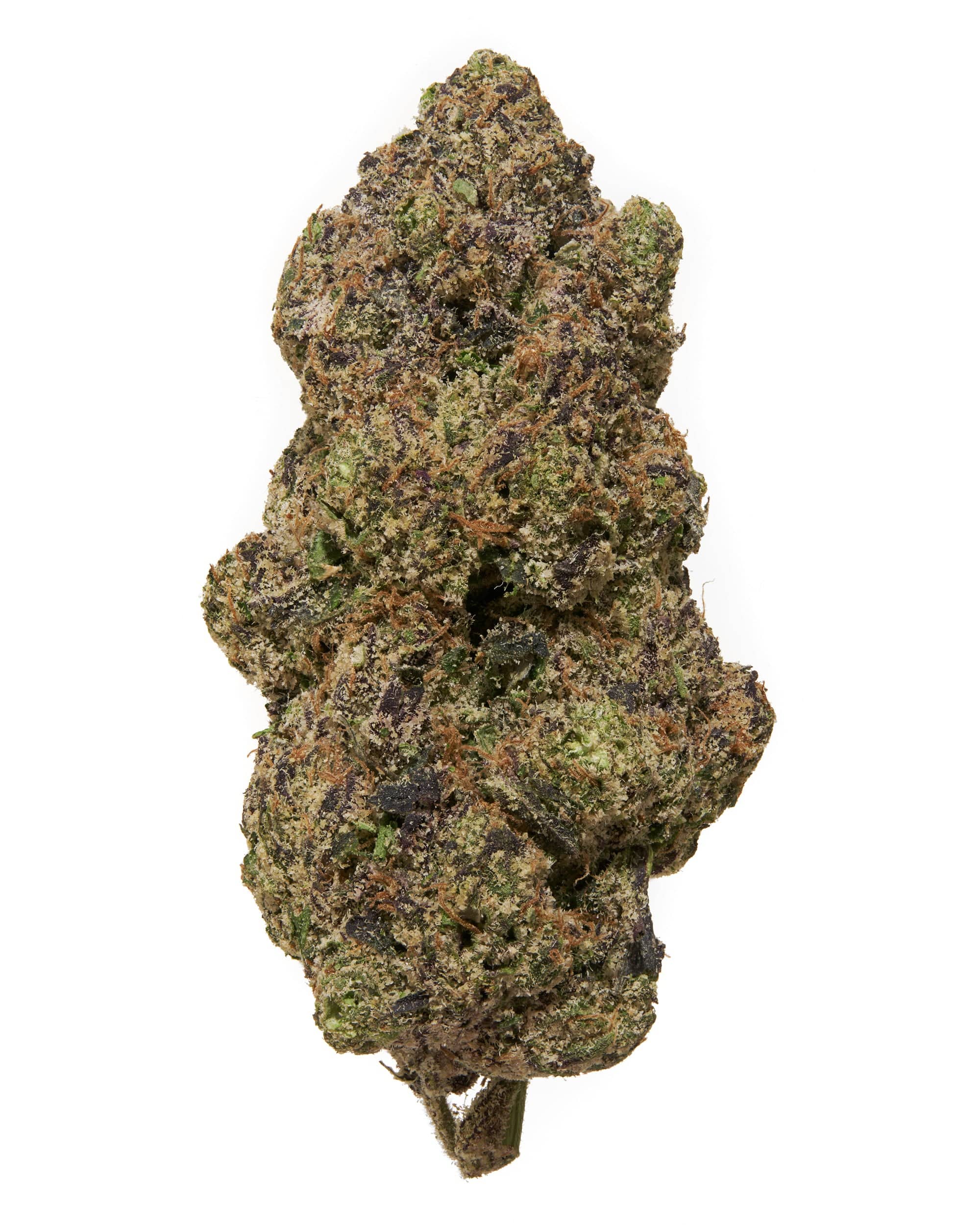 Lemon Cherry Gelato | Bulk A Buds