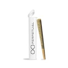 Scented Marker #10 | 1G Pre-roll