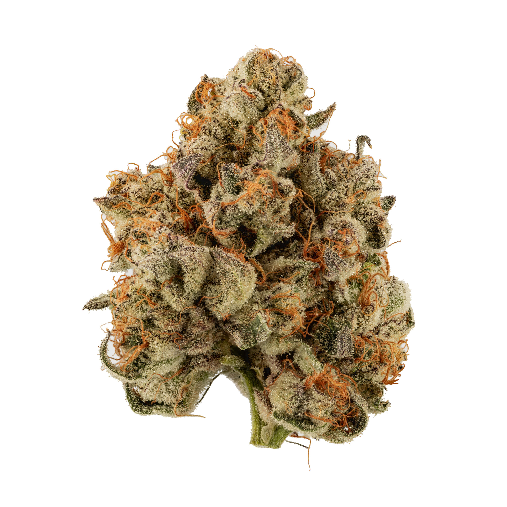Gush Mints | 3.5G Flower