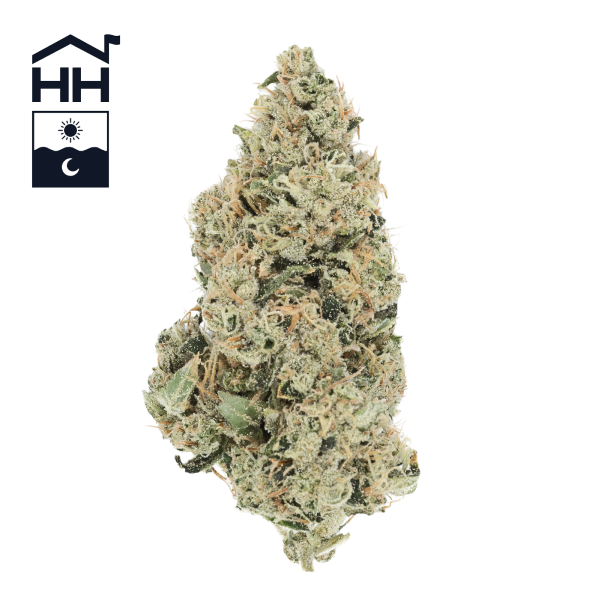 Aspen OG | 3.5G Flower