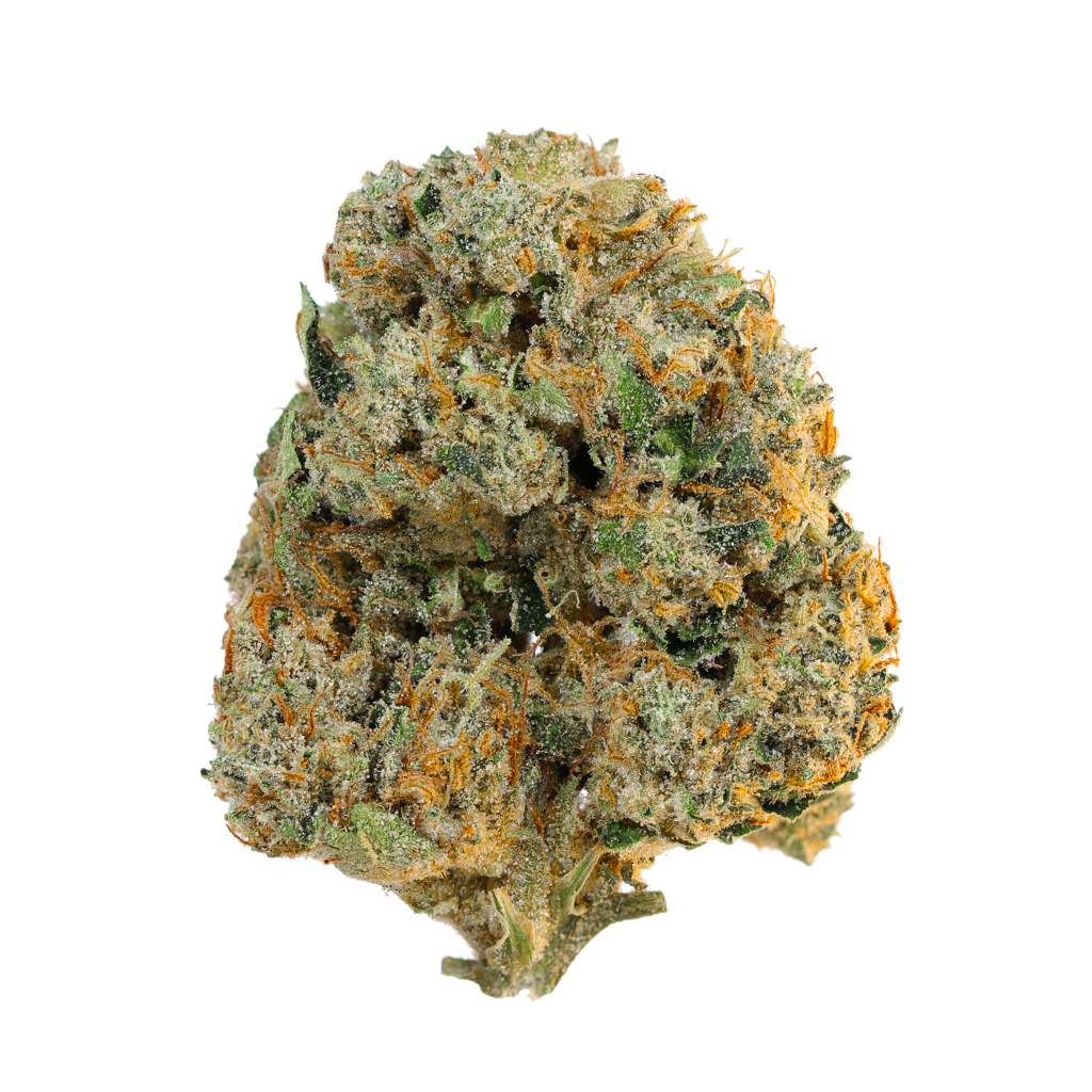 MOTORBREATH BANANA PUNCH