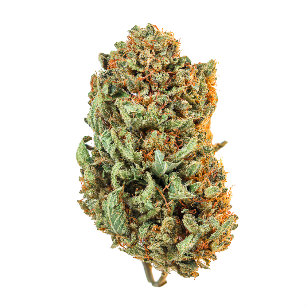 HEADBAND