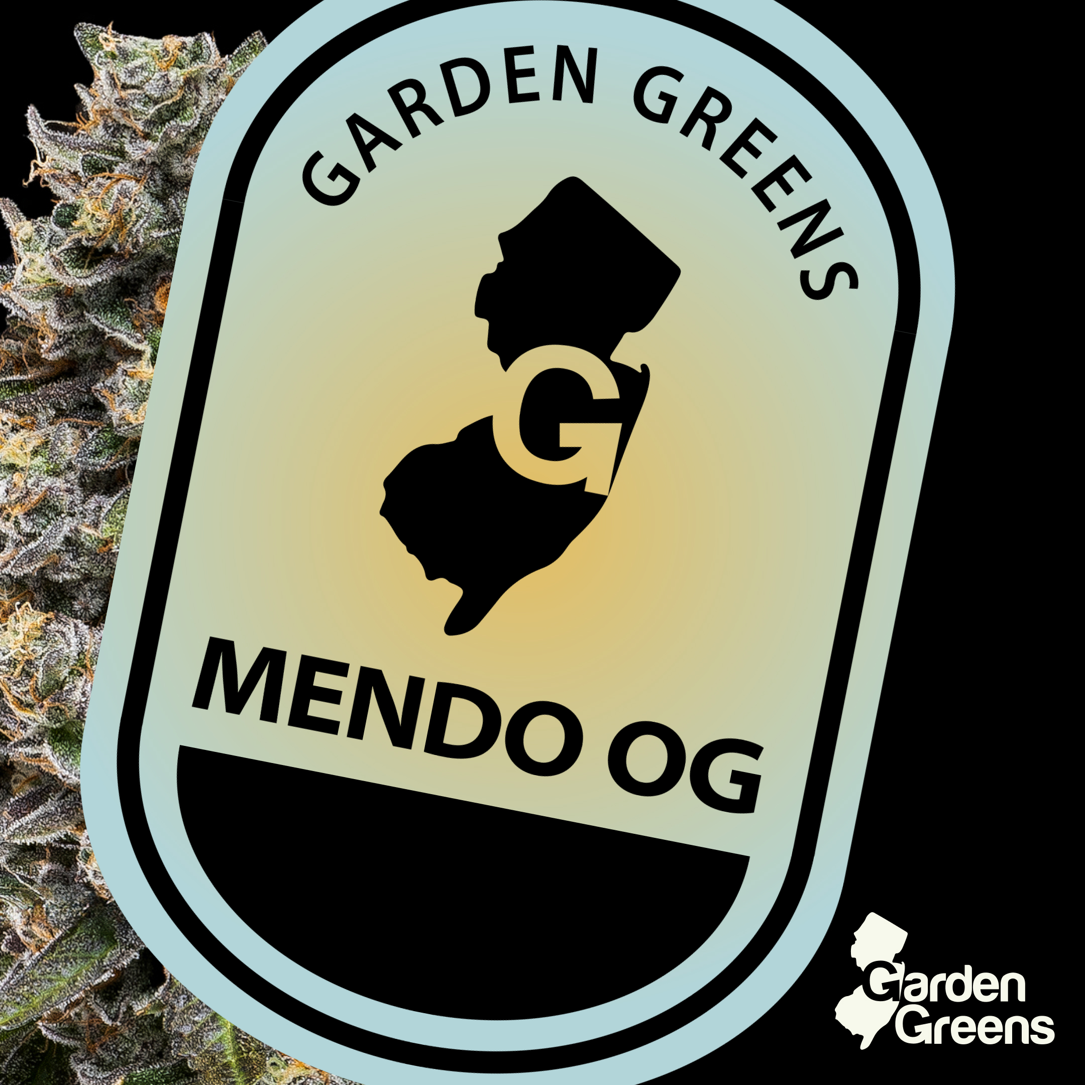 Mendo OG 7G Big Bud (i)