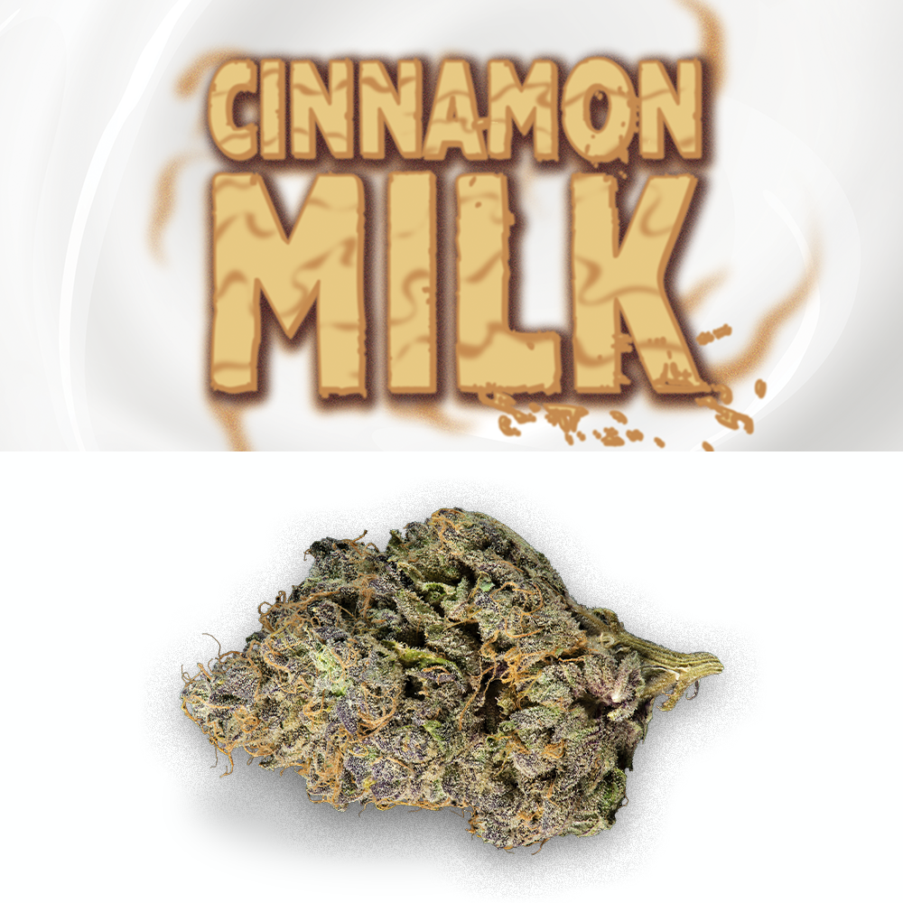 Cinnamon Milk 3.5G (i)