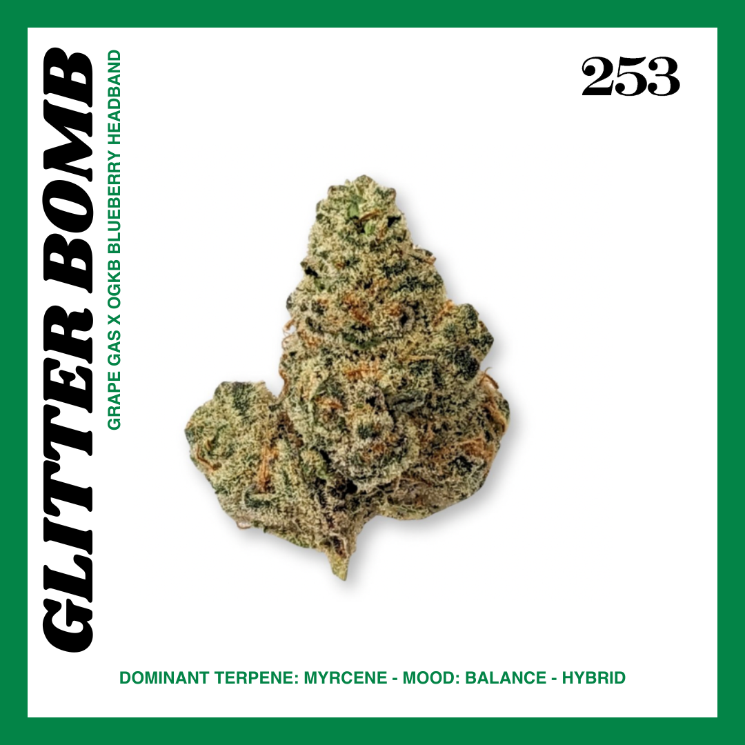 253 28G Glitter Bomb