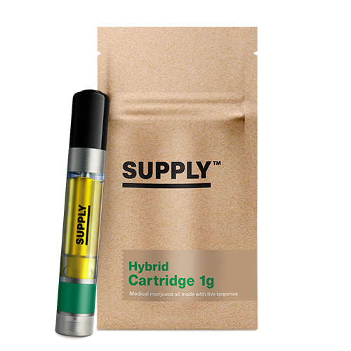 Pineapple Express Cartridge 1g