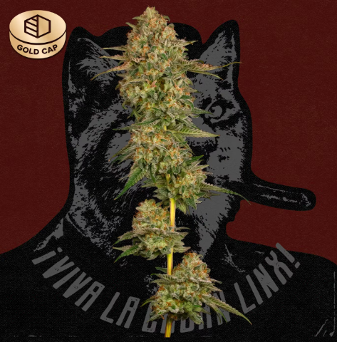Cuban Linx 3.5g