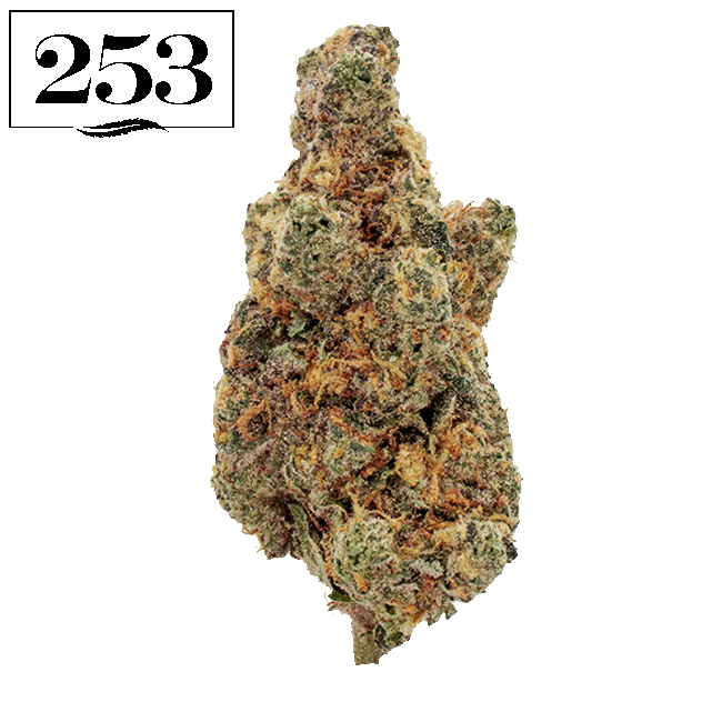 Governmint Oasis 1g