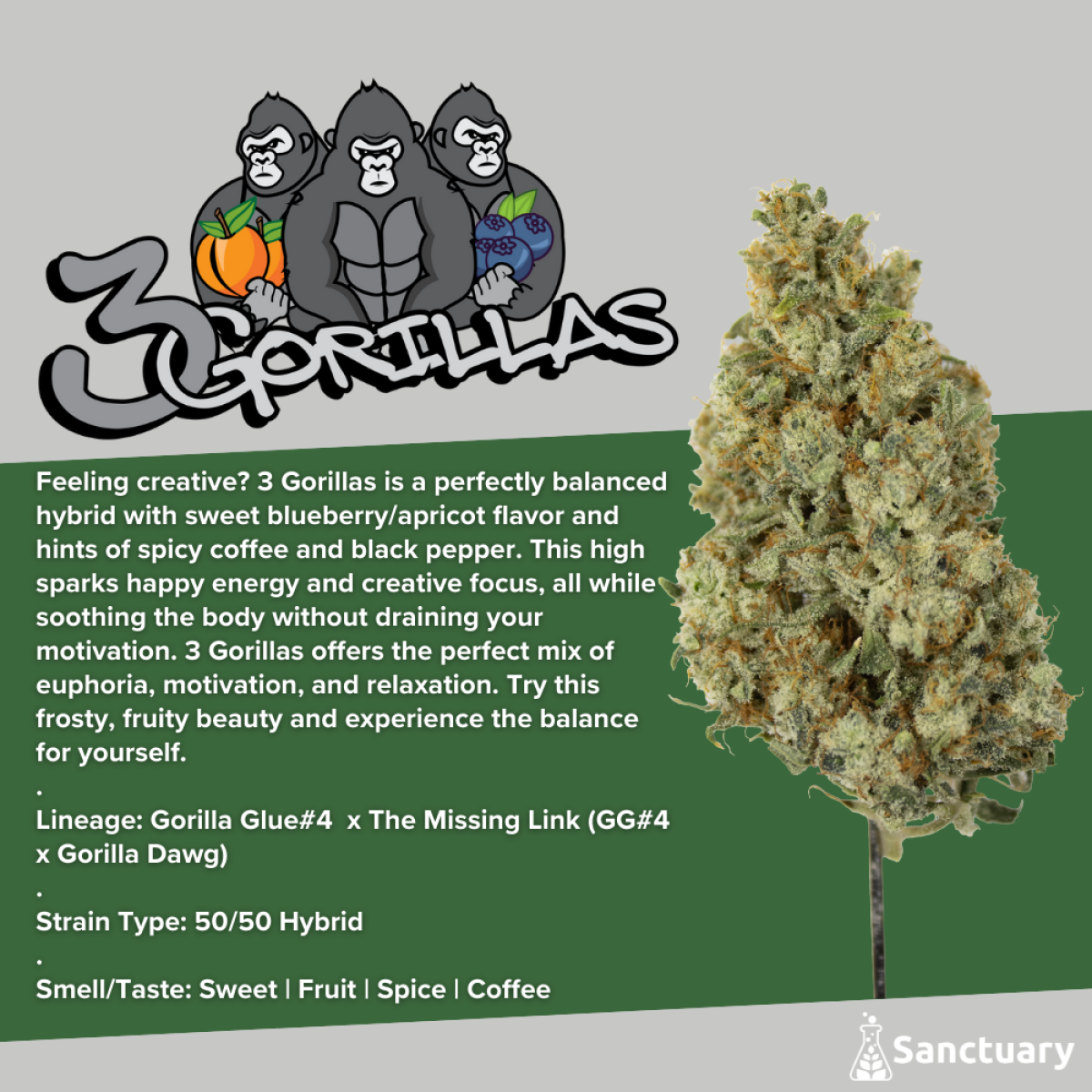 3 Gorillas 28g
