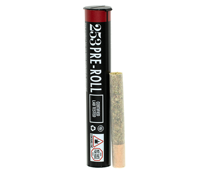 Ruby Violet 1g