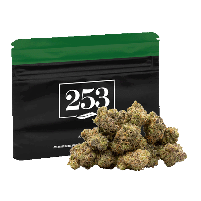 GG#4 Nano Nugs 7g