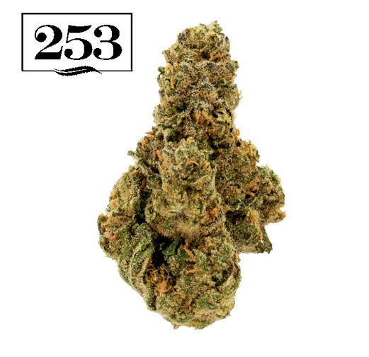 Butterscotch Daydream 1g