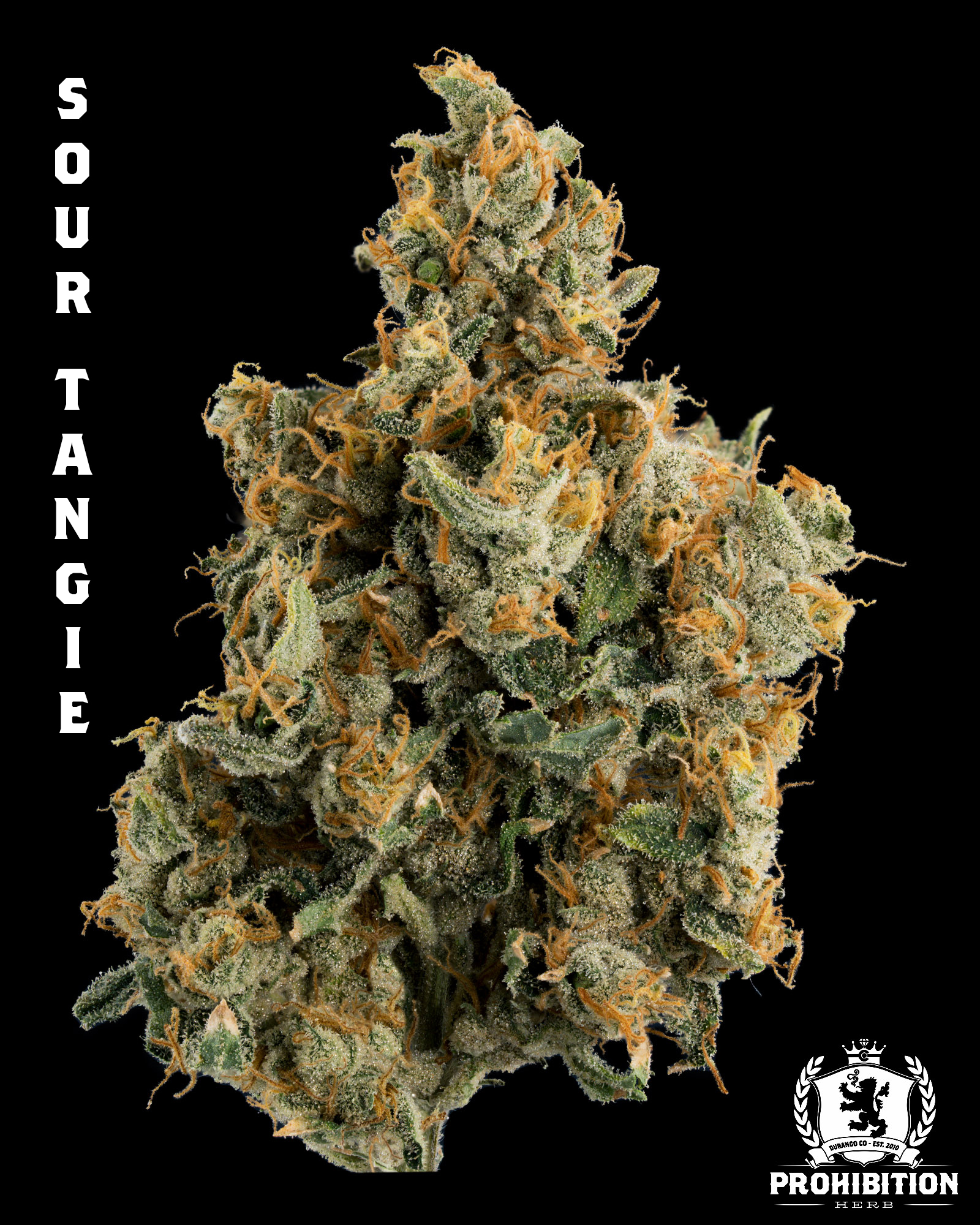 [3.5G] | SOUR TANGIE | SATIVA