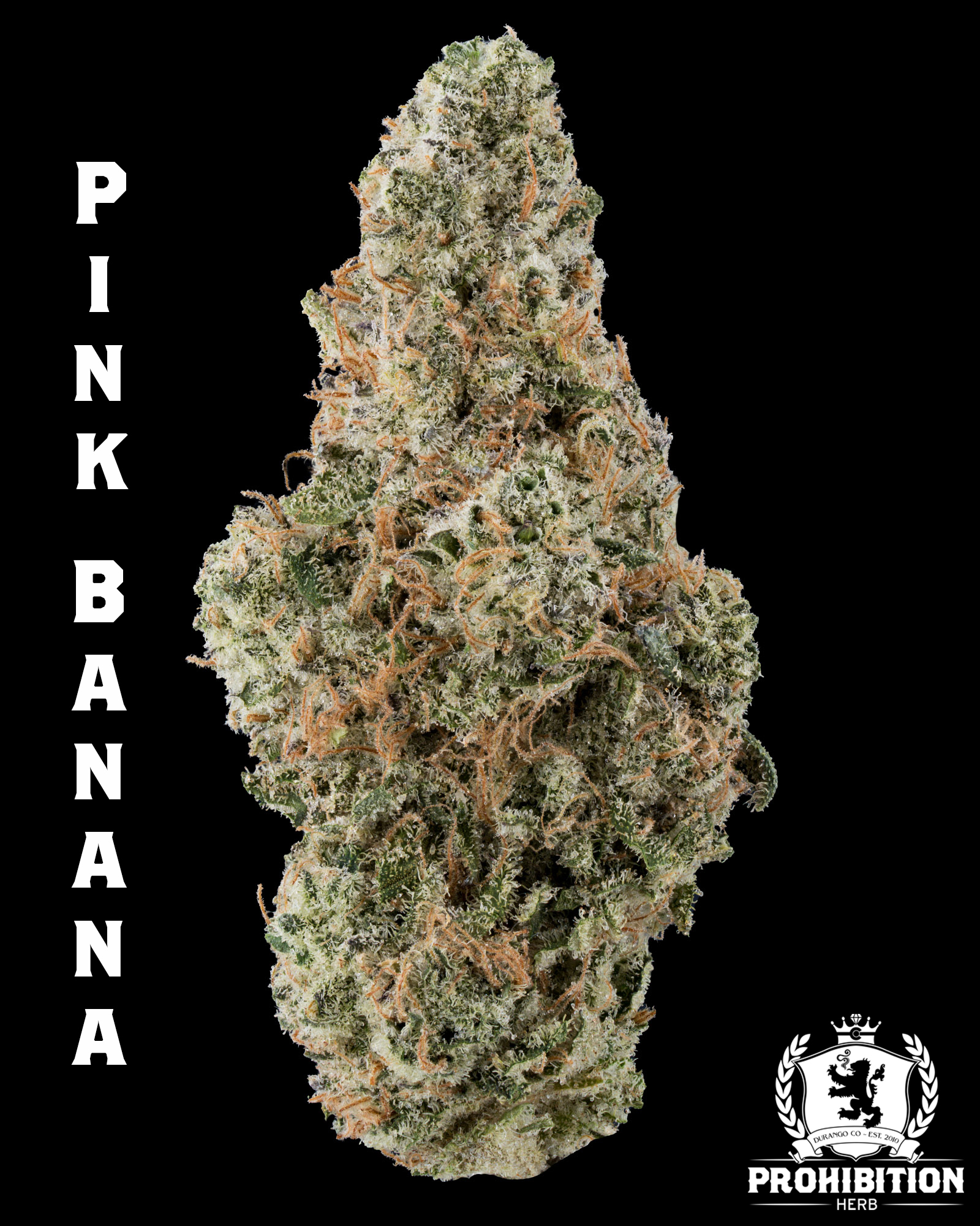 [3.5G] | PINK BANANA | INDICA