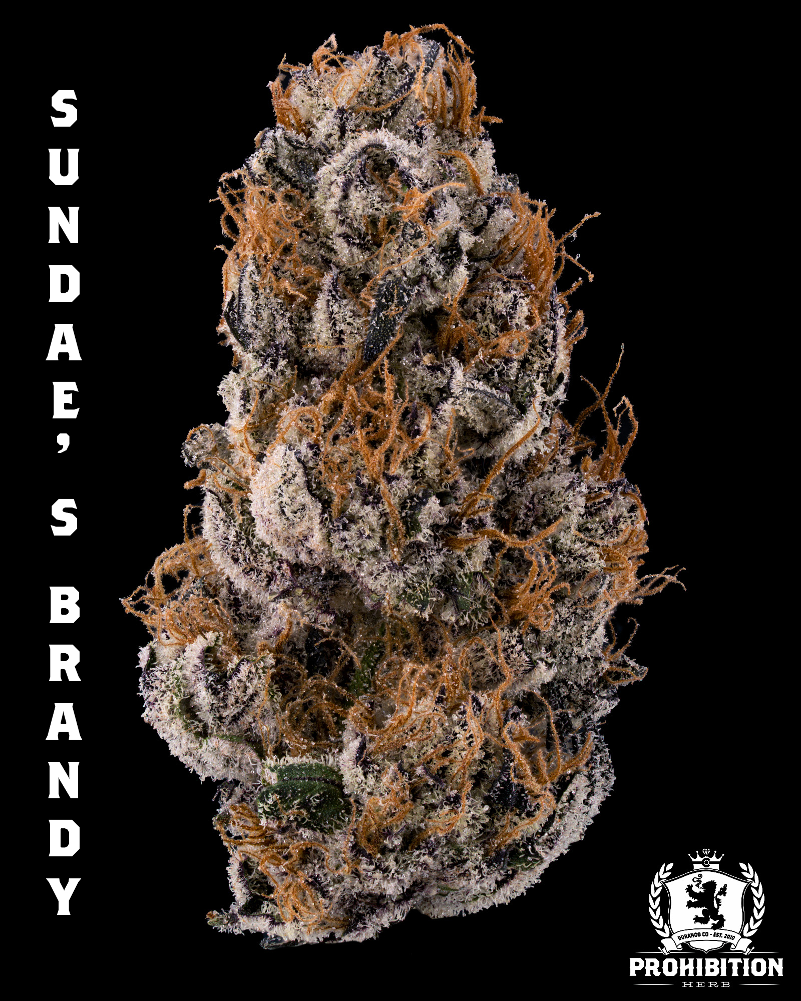 [3.5G] | SUNDAE'S BRANDY | INDICA