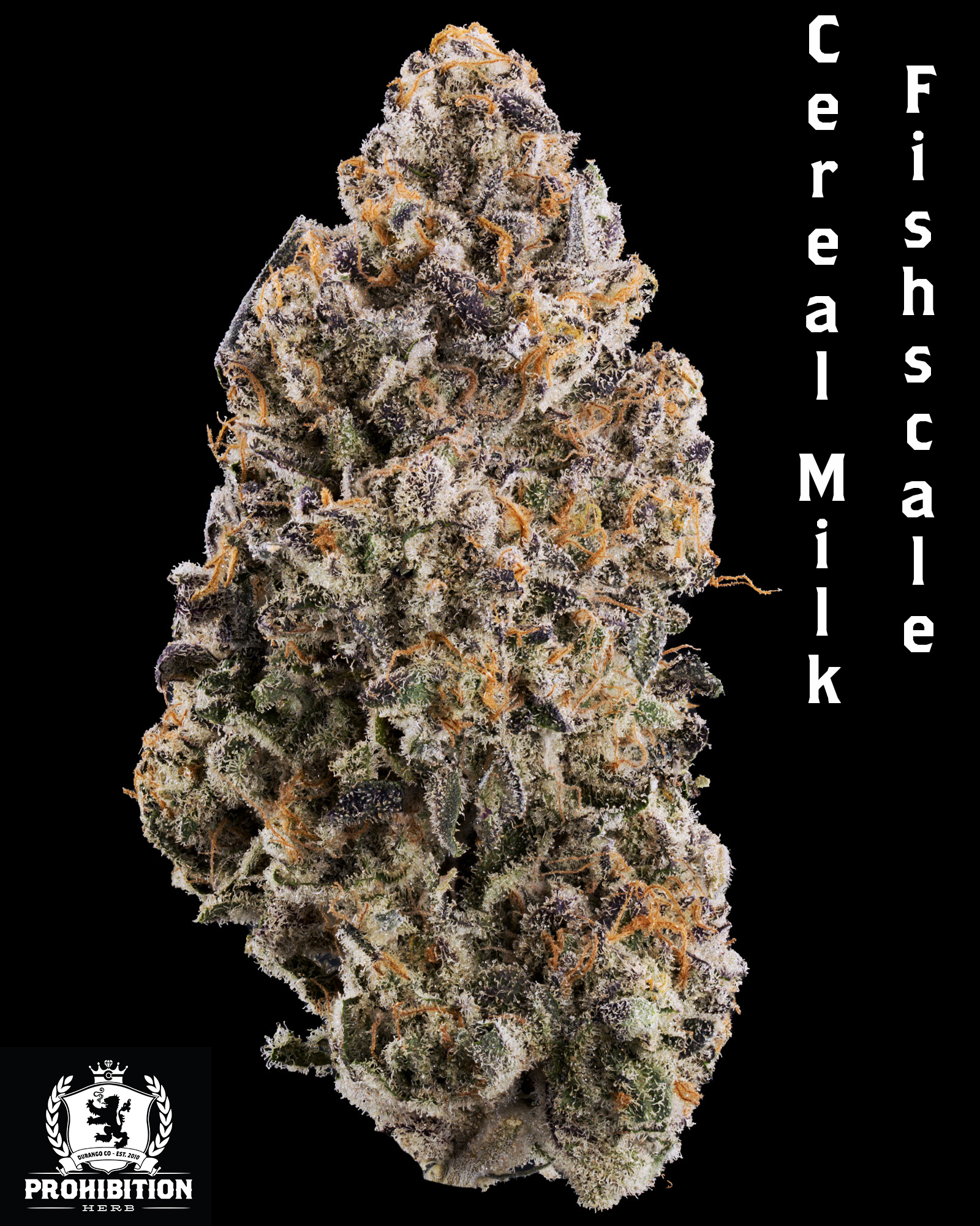 [1G] | CEREAL MILK X FISHSCALE | SATIVA