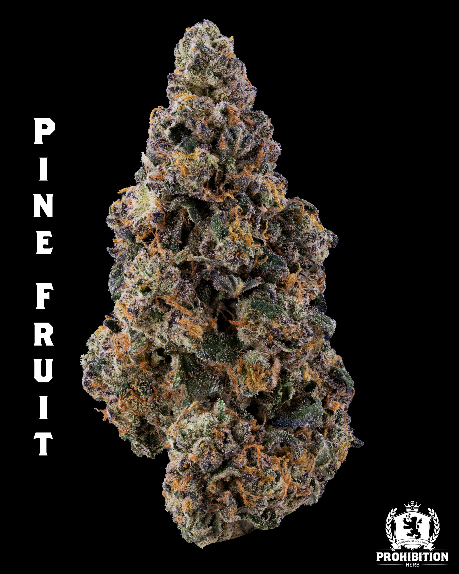 [3.5G] | PINE FRUIT | SATIVA