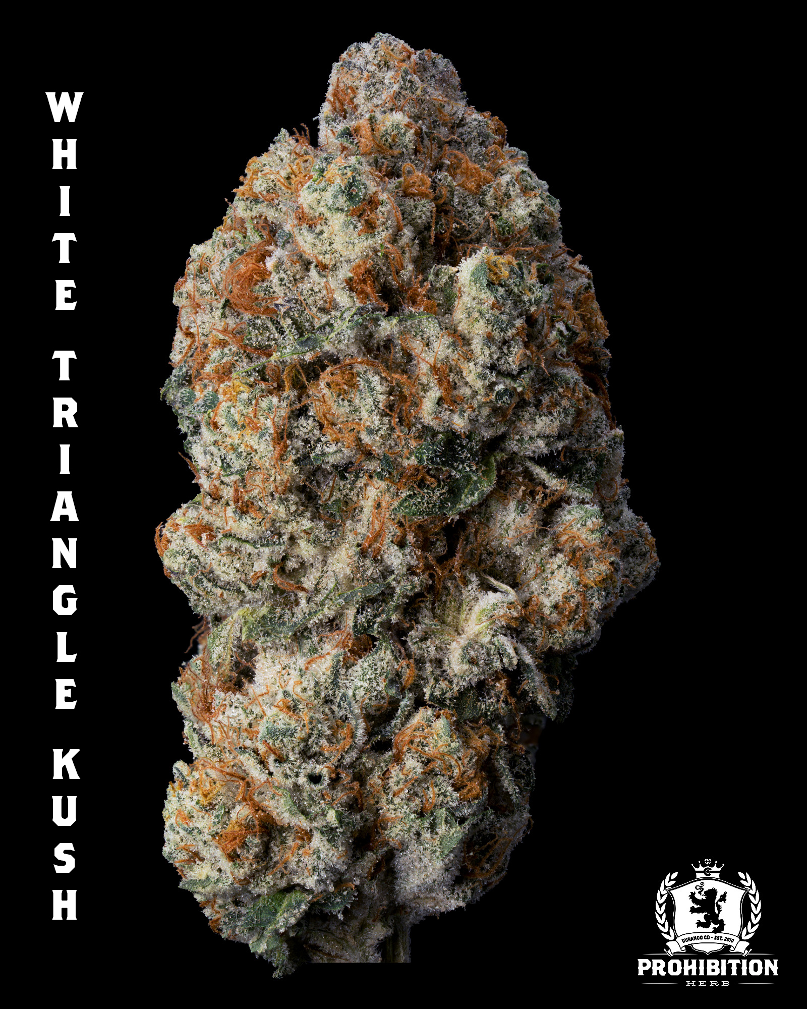 [1G] | WHITE TRIANGLE KUSH | INDICA