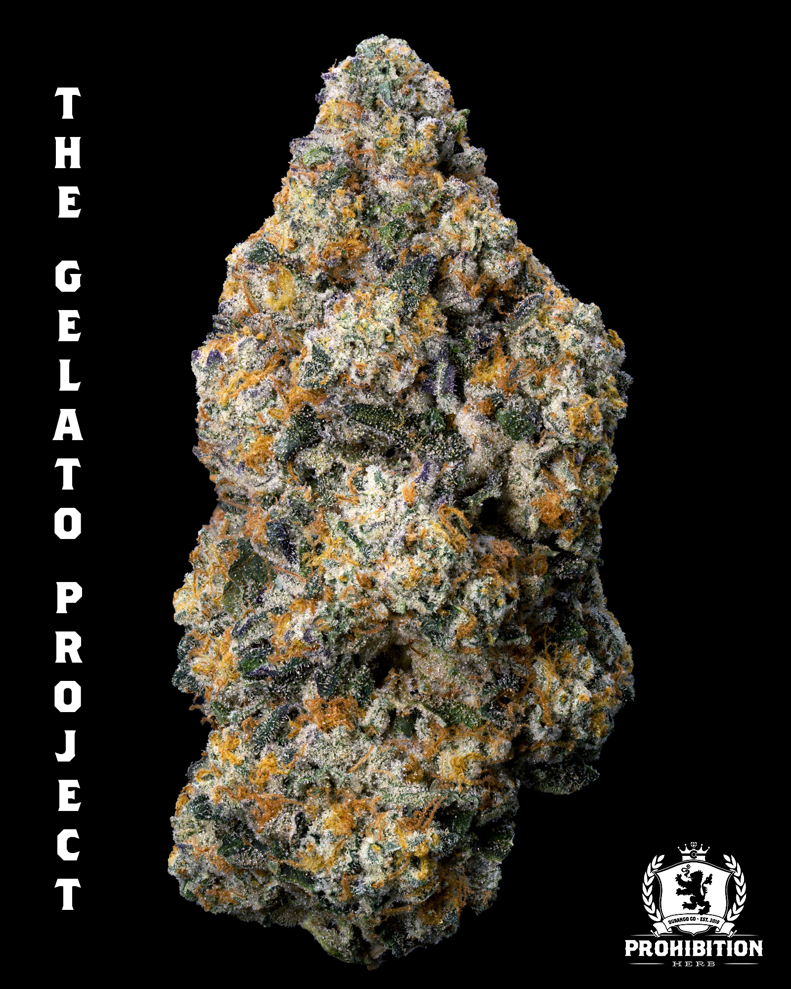 [1G] | THE GELATO PROJECT | HYBRID