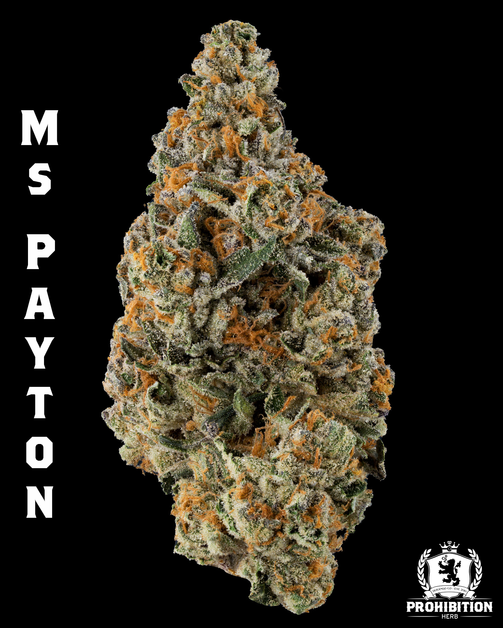 [14G] | MS. PAYTON | SATIVA