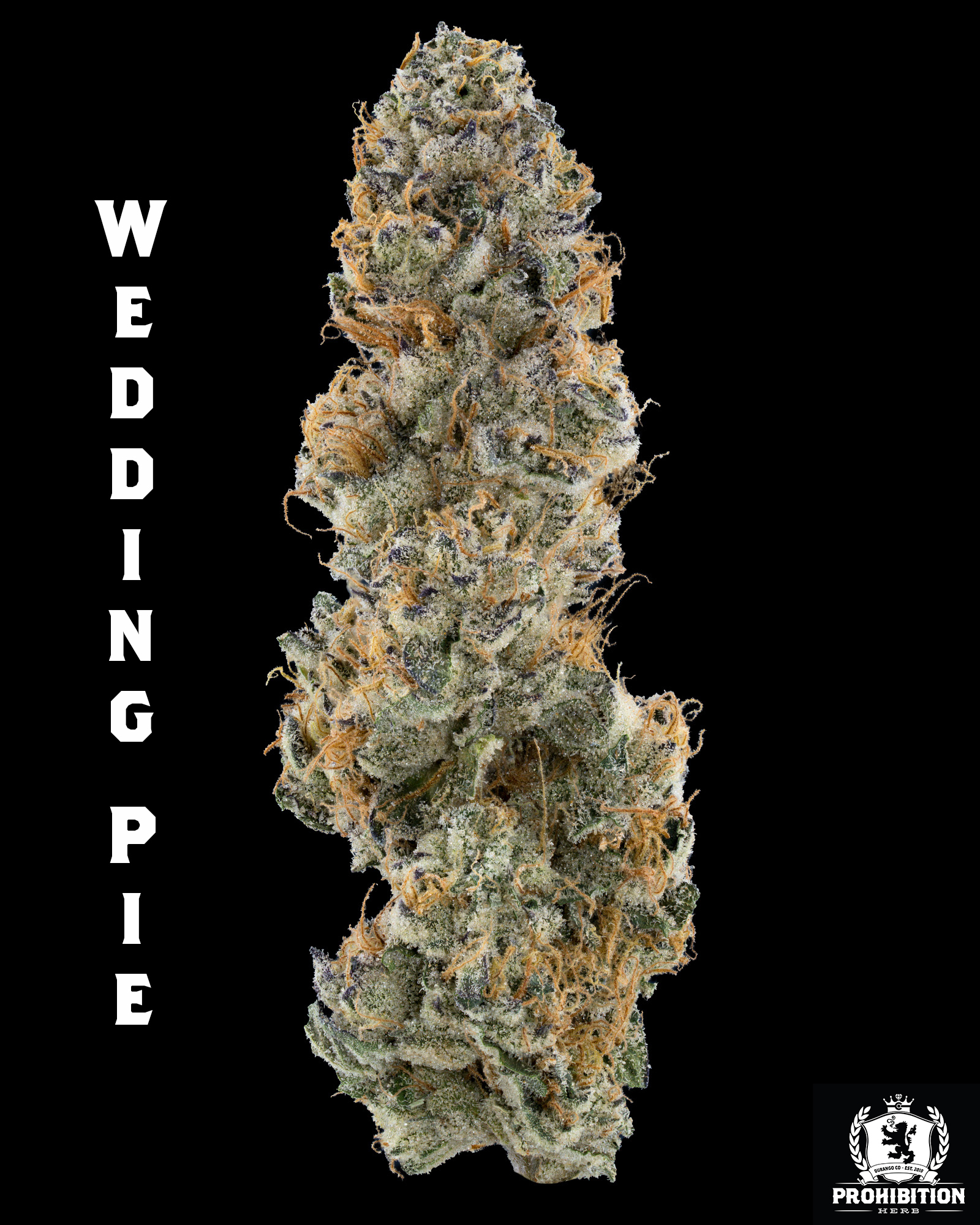 [1G] | WEDDING PIE | INDICA