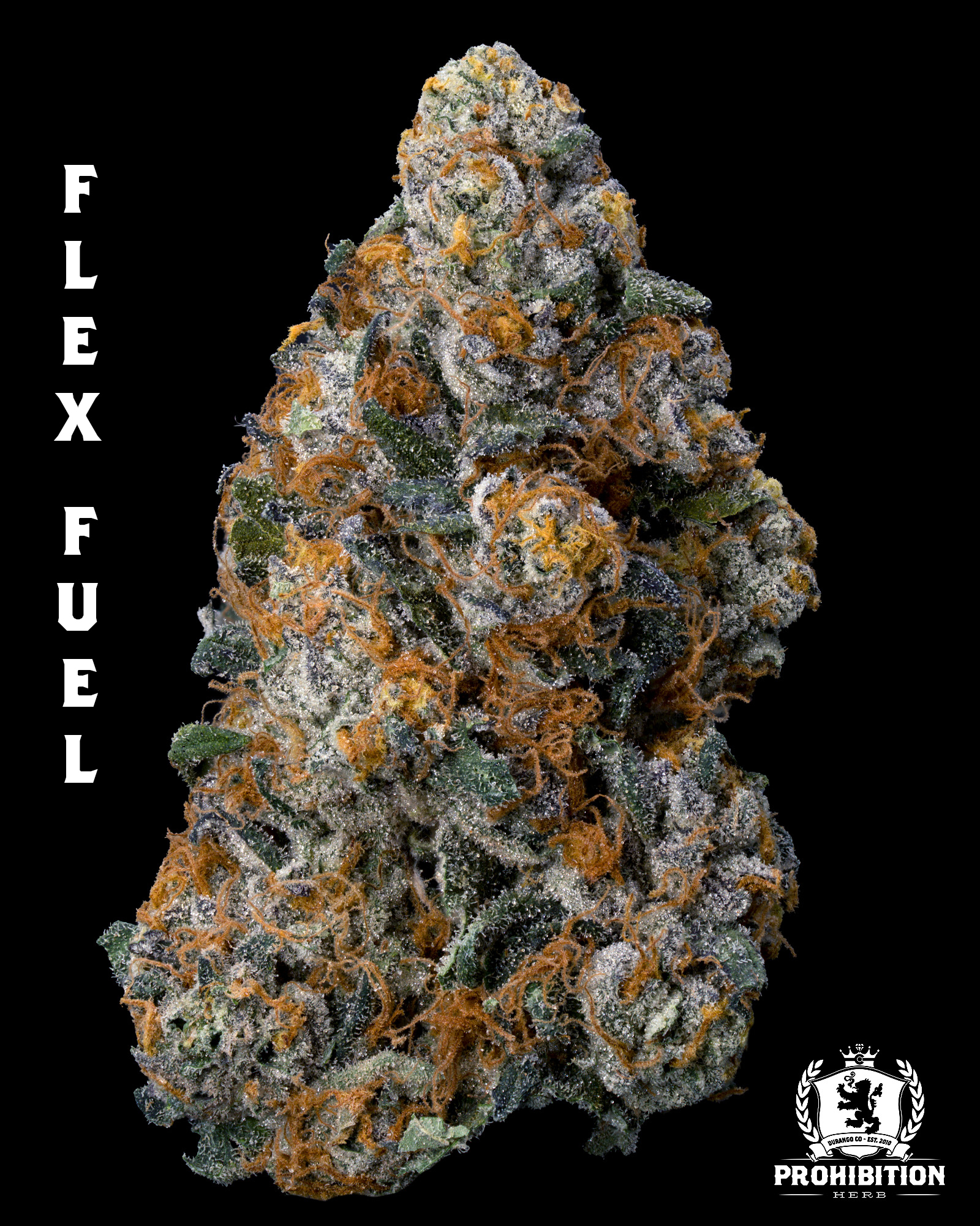[1G] | FLEX FUEL | HYBRID