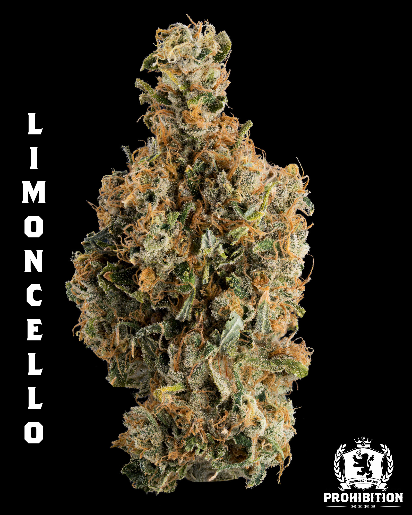 [14G] | LIMONCELLO | SATIVA
