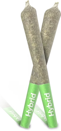 Chem Gem Kief Cones (0.5gx2)