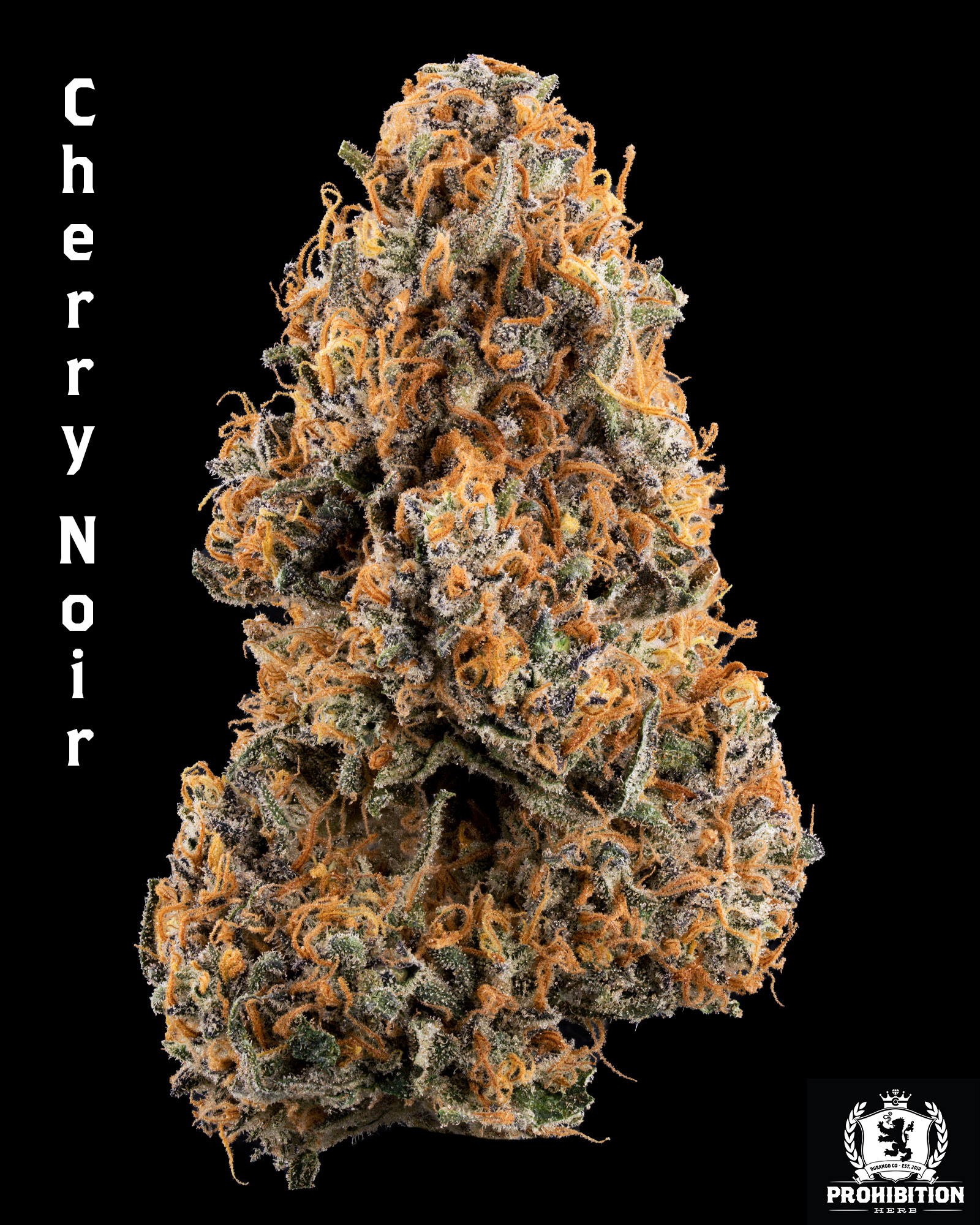 [1G] | CHERRY NOIR | HYBRID