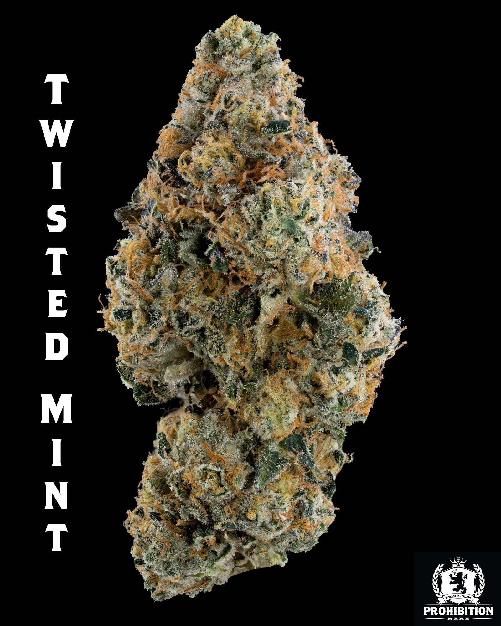 [14G] | TWISTED MINT | HYBRID