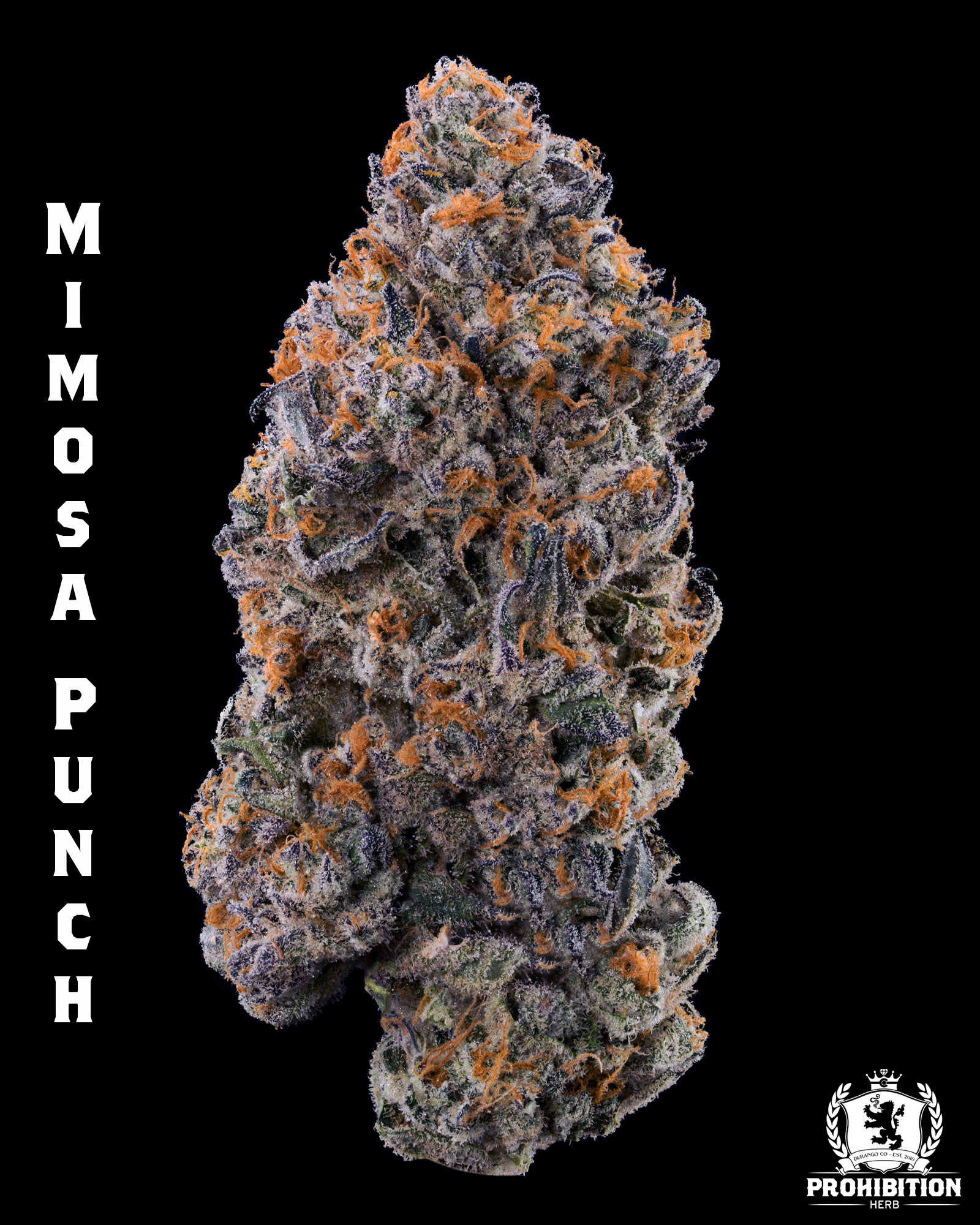 [3.5G] | MIMOSA PUNCH | HYBRID