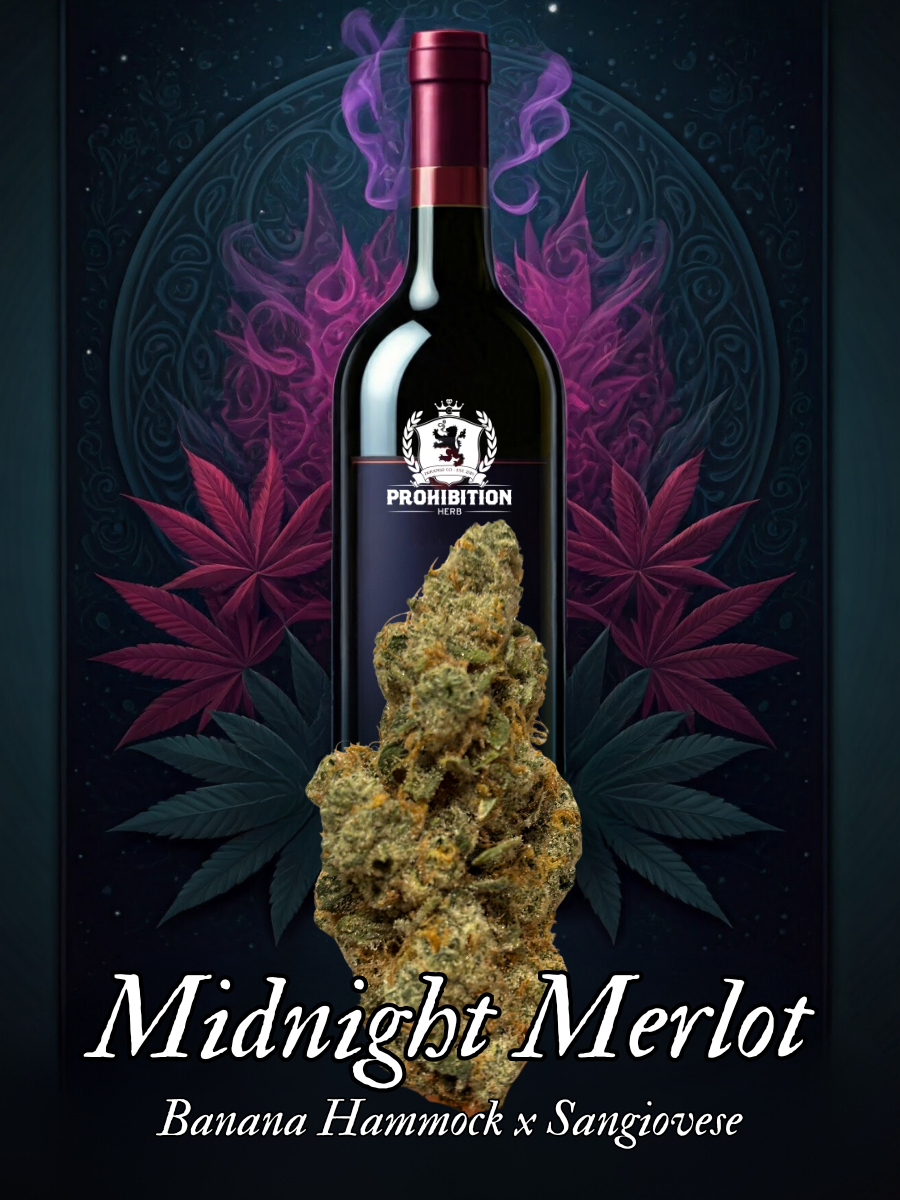 Midnight Merlot Strain Sticker