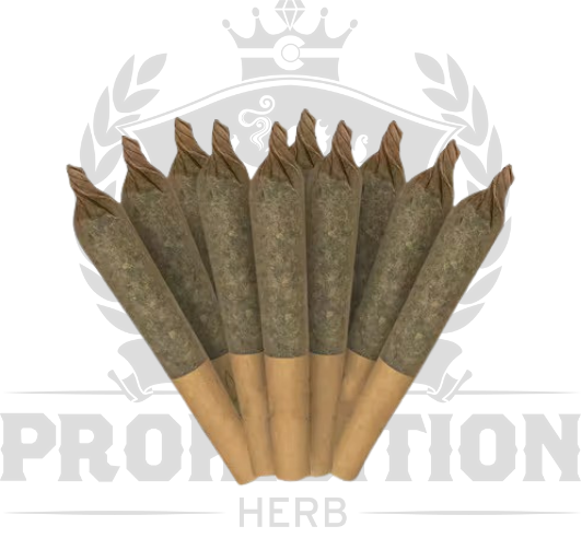 Sativa ProHerb House Dogwalkers (0.35gx10)