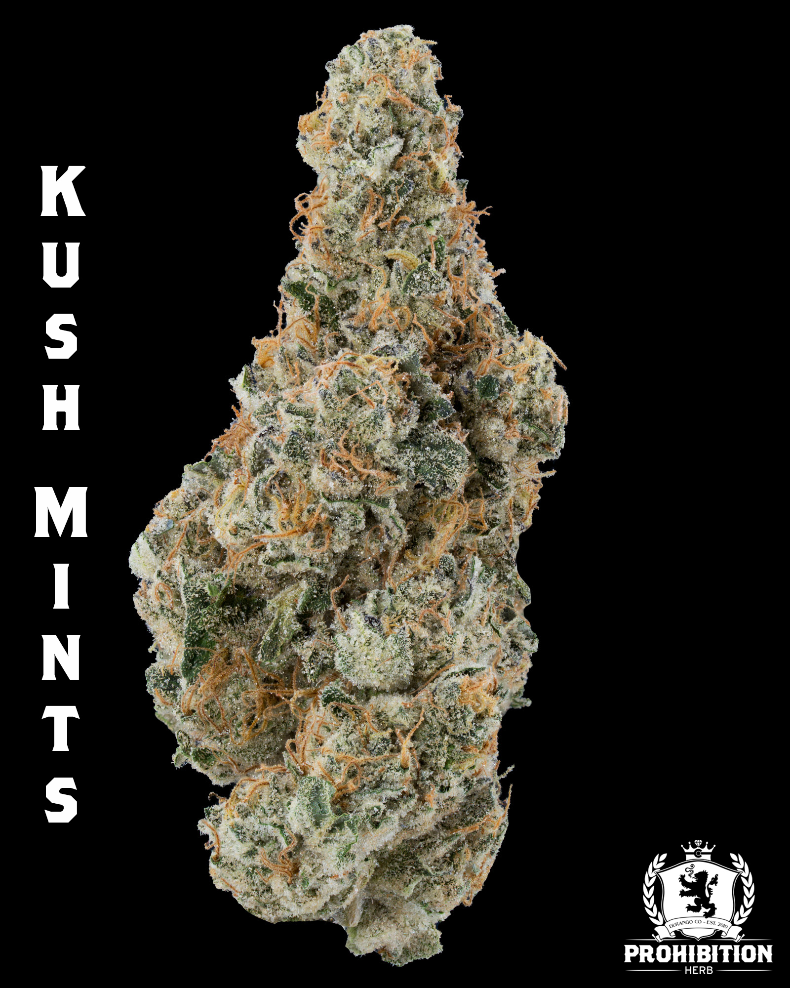 [1G] | KUSH MINTS | INDICA