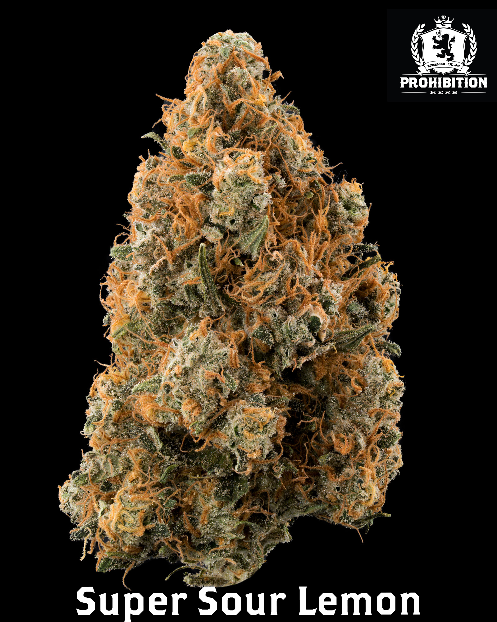 [14G] | SUPER SOUR LEMON | SATIVA