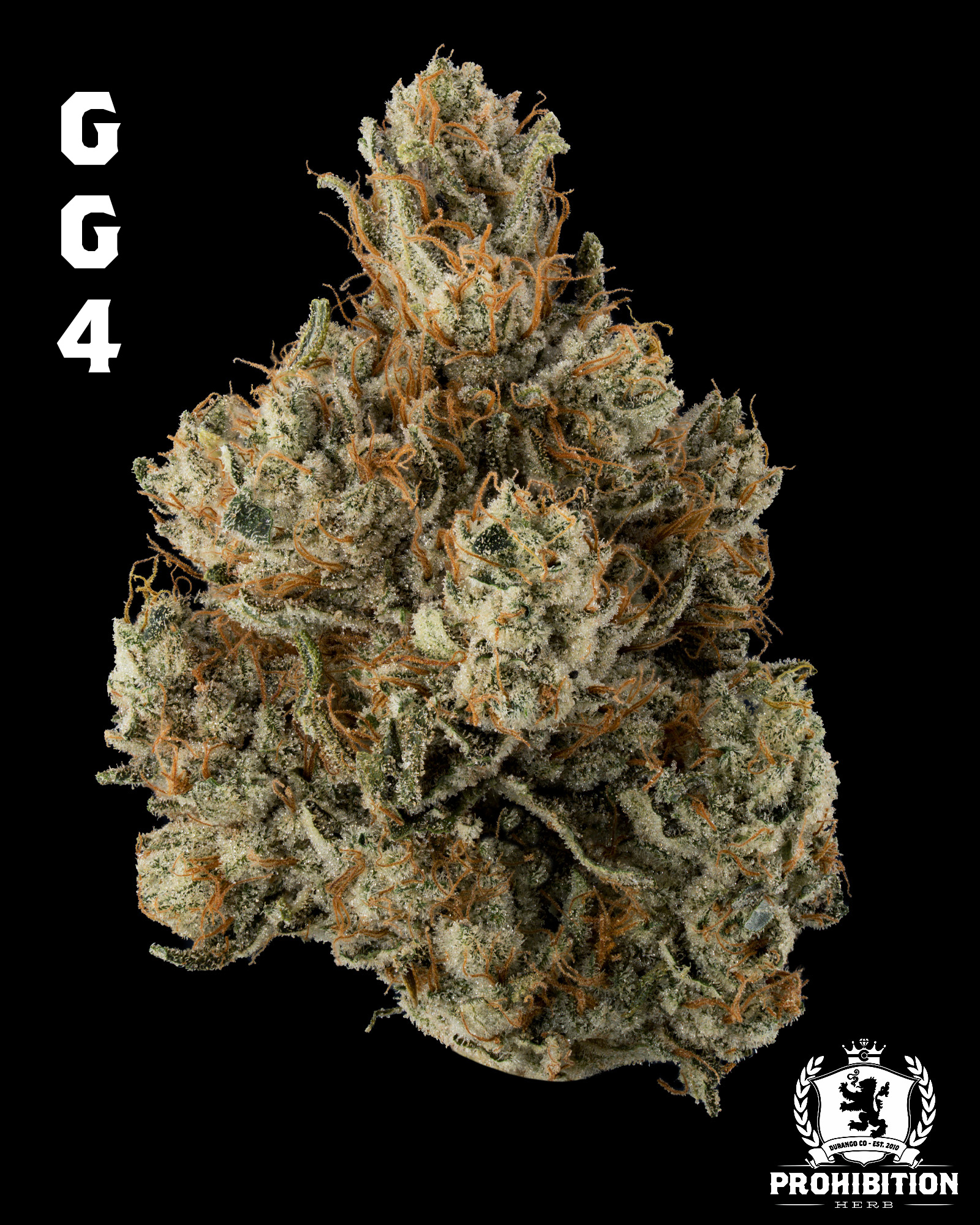 [3.5G ] | GG#4 | HYBRID