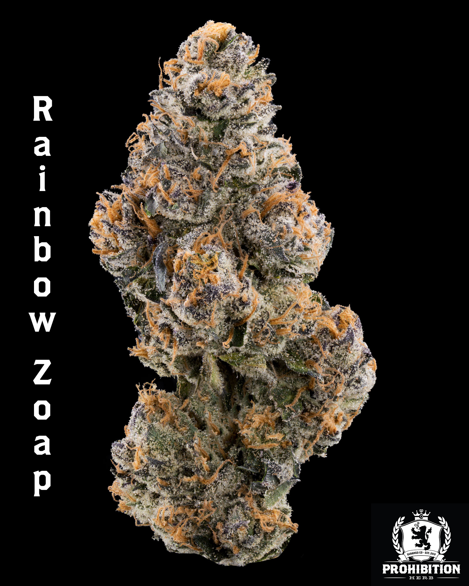 [1G] | RAINBOW ZOAP | HYBRID