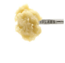 710 Labs  Hazelnut Cream #13 T3 1 G Live Rosin Badder