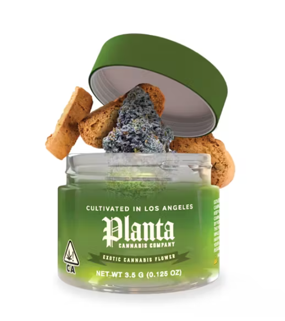 PLANTA BISCOTTI 3.5G