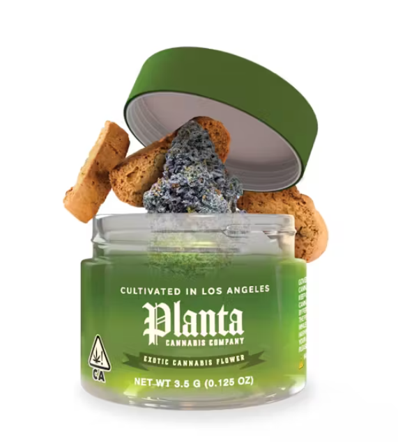 Planta Biscotti