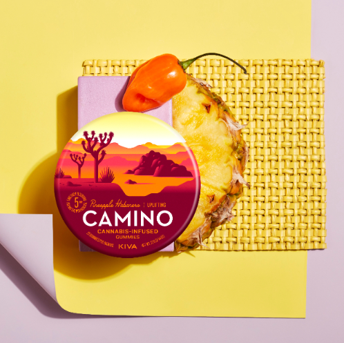 CAMINO PINEAPPLE HABANERO 100MG