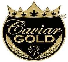 Caviar Gold  Cloud Chaser  Cavi Cone 1 Infused Pre Roll