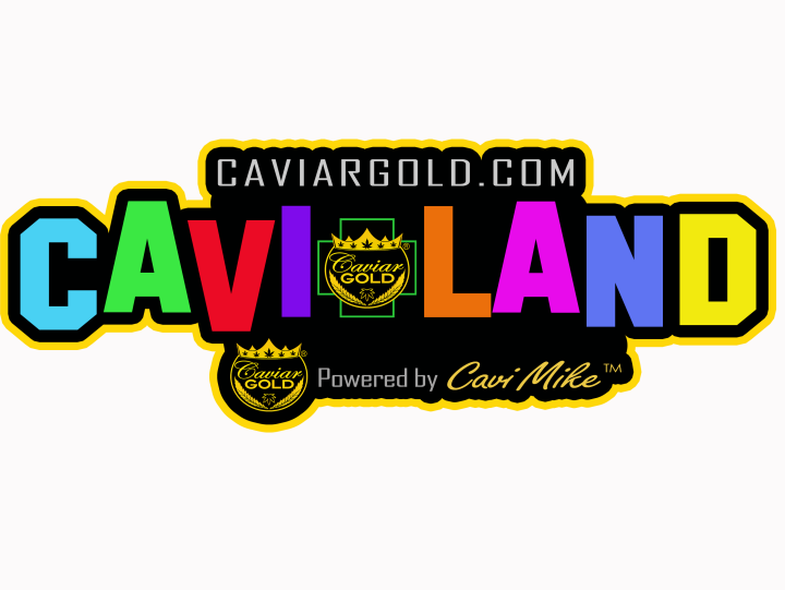 CAVIAR GOLD  CAVI LAND 1.5G INFUSED PREROLL