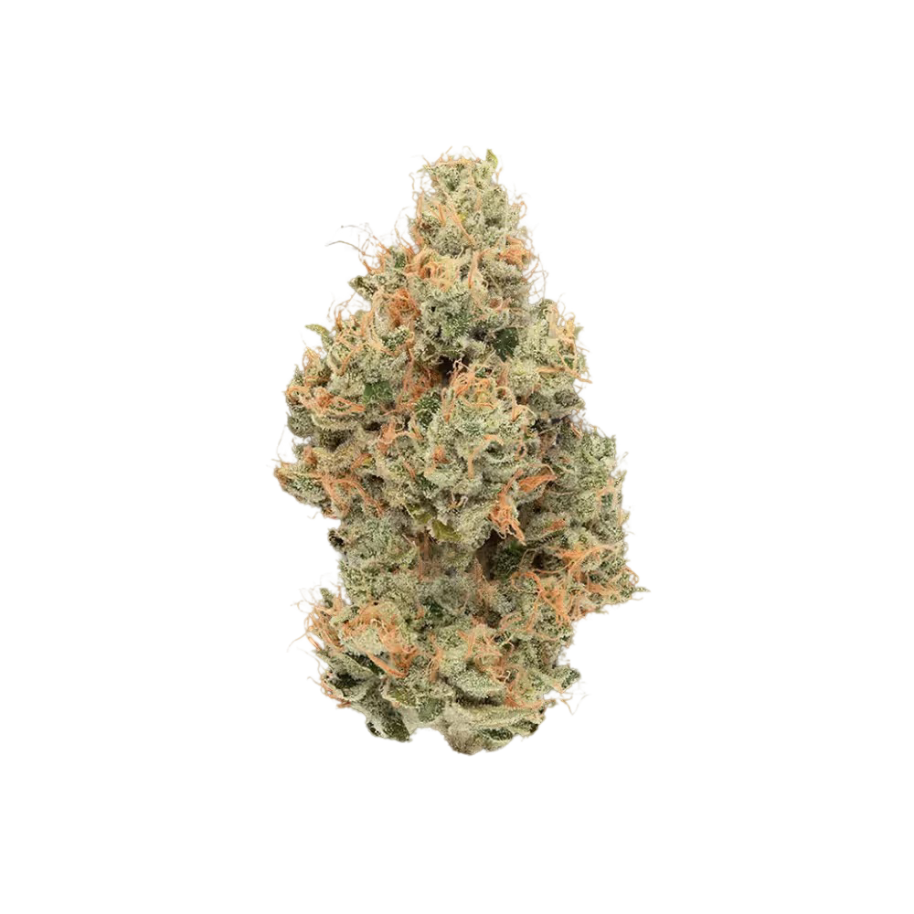 CBX | TROPICANNA 14G PREMIUM NUGS