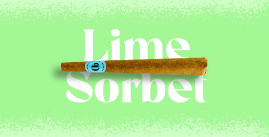 LIME SORBET 1G INFUSED BLUNT