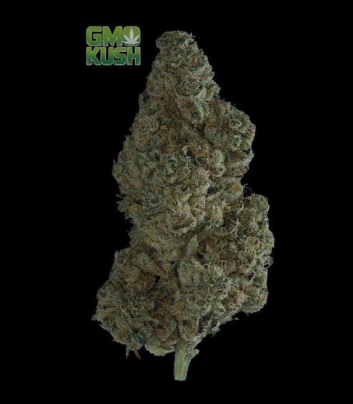 GMO KUSH 3.5G